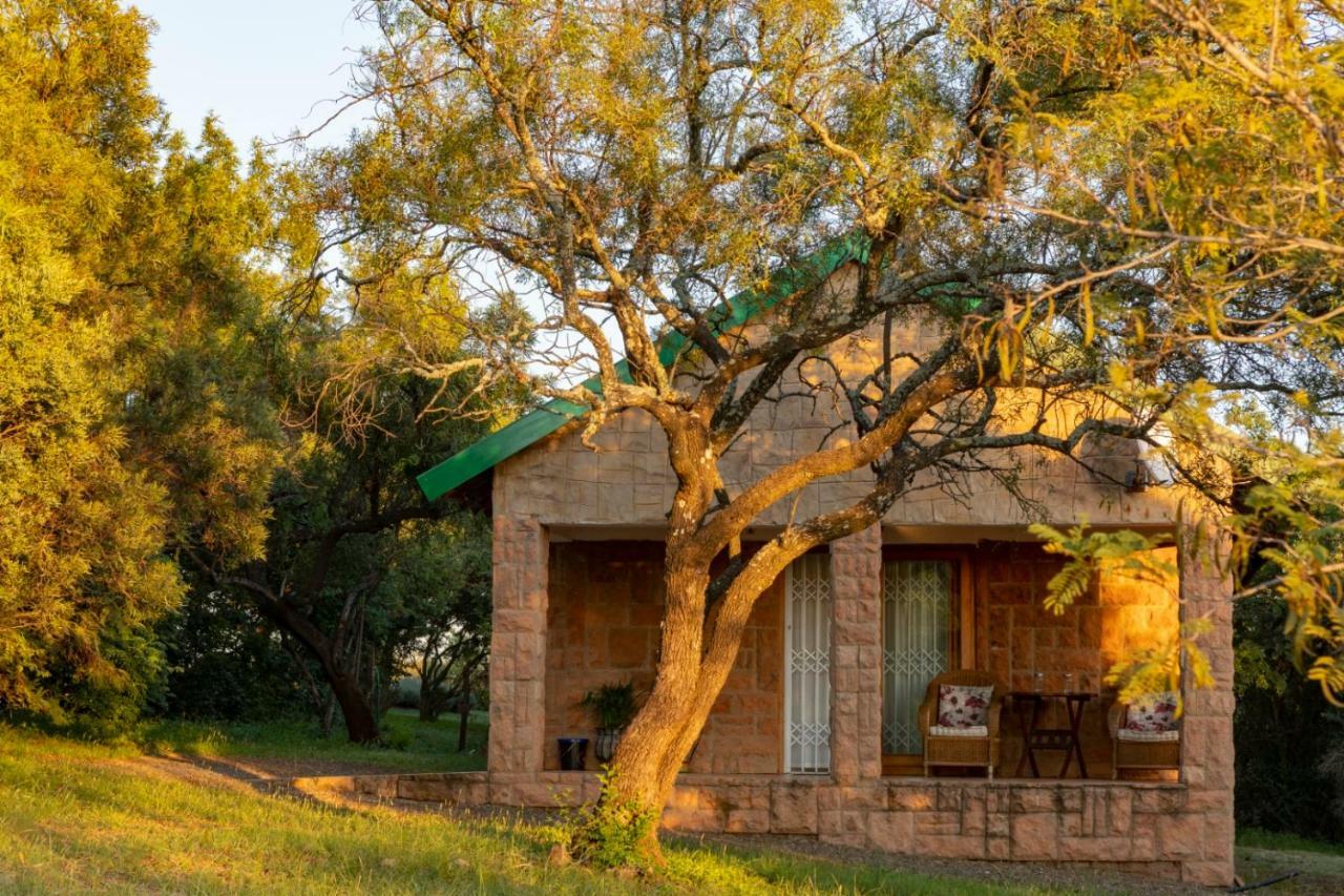 Bed and Breakfast Olive Tree Farm Магалісбург Екстер'єр фото